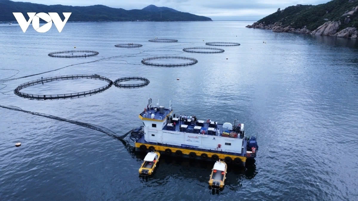 Green ocean economy discussed at Vietnam–India maritime dialogue